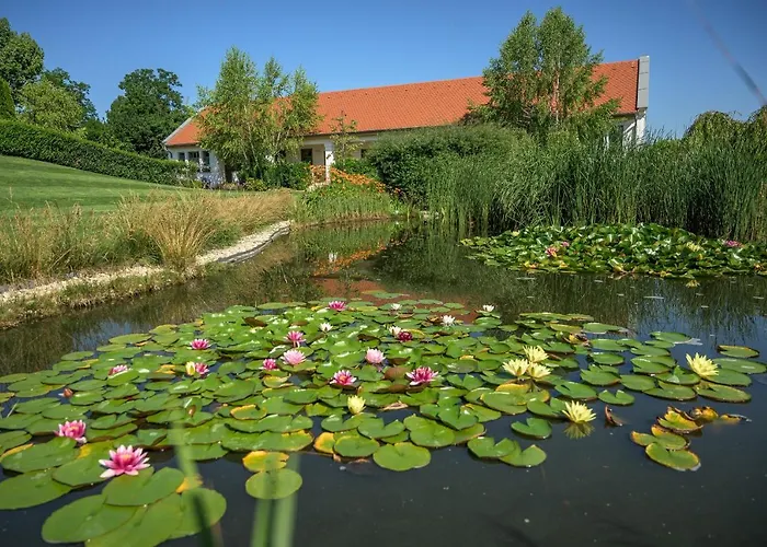 Paskom Konukevi Lajoskomárom